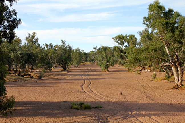 todd river