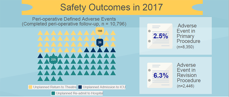 BSR ozdata safety outcomes 2017