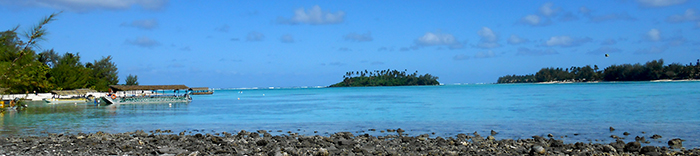 CookIslandslandscapejpg