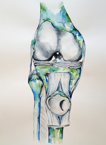 artwork knee